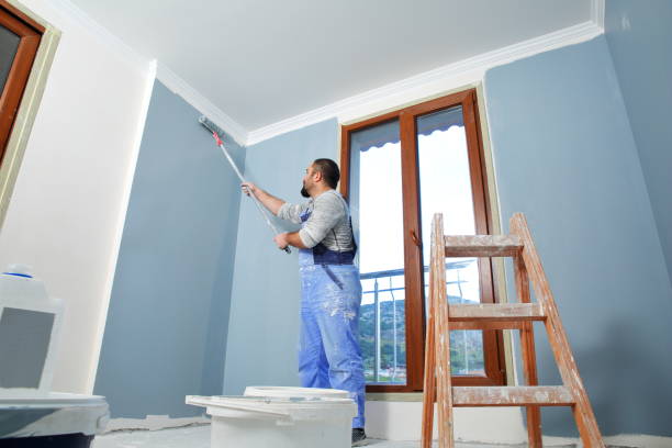 Best Mold Remediation for Rental Properties  in Shadeland, IN