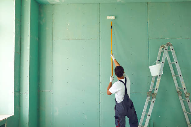 Best Commercial Mold Inspection  in Shadeland, IN