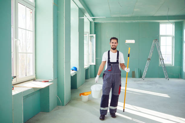 Mold Odor Removal Services in Shadeland, IN