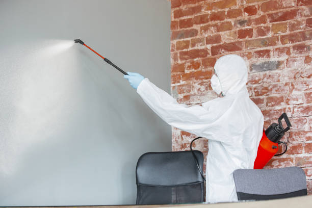 Best Mold Prevention Services  in Shadeland, IN