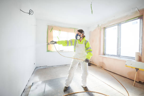 Best Mold Odor Removal Services  in Shadeland, IN