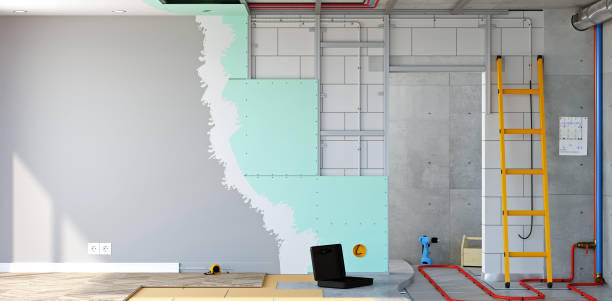 Best Post-Construction Mold Inspection  in Shadeland, IN