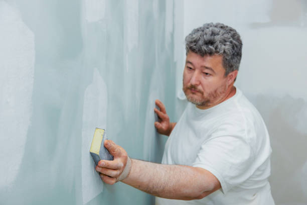 Best Mold Documentation for Insurance Claims  in Shadeland, IN
