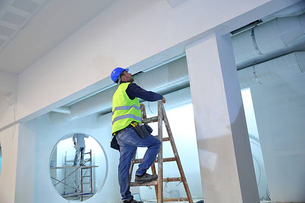 Best Real Estate Mold Inspection  in Shadeland, IN